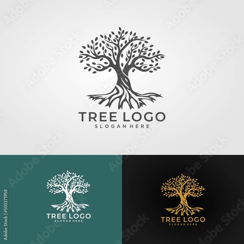 Abstract living tree logo design, roots vector - Tree of life logo design inspiration isolated on white background