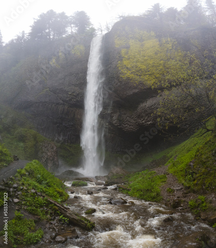 Surrounded by forest, the beautiful Latourell Falls drops almost 250 feet, eventually flowing into the Columbia River in Oregon. The Pacific Northwest is known for its lush, green forests.