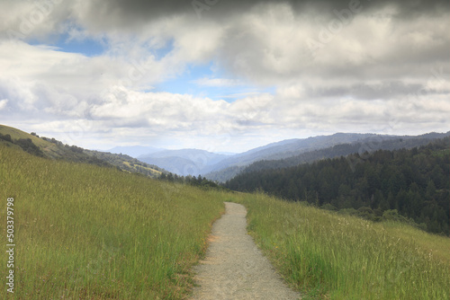 Rolling Landscape at Monte Bello Preserve in Santa Clara and San Mateo Counties, California, USA.