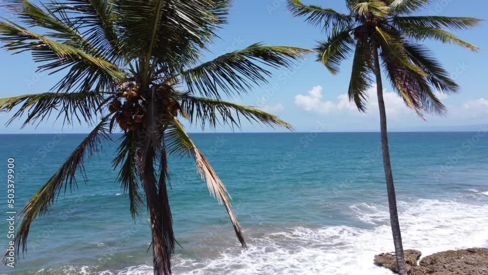 coco en la playa del caribe