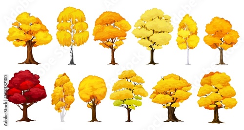 Cartoon autumn tree, fall season forest. Isolated vector plants with yellow, orange and red foliage. Birch, oak, maple or elm with bright colorful leaves in park, garden or wood, seasonal defoliation