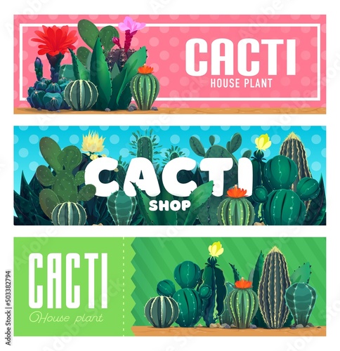 House cacti succulents, cartoon desert plants and flowers shop vector banners. Succulent flowers and prickly plants store saguaro cactus, agave or aloe vera and opuntia with blossom flowers