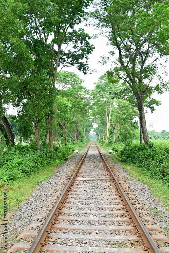 Obraz premium Bangladesh Rail Line
