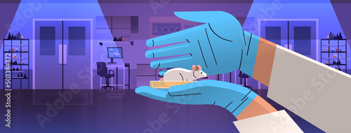 veterinary worker hands holding experimental rabbit scientist doing experiments in lab with biological genetic engineering research