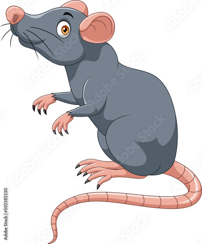 Cartoon happy mouse on white background