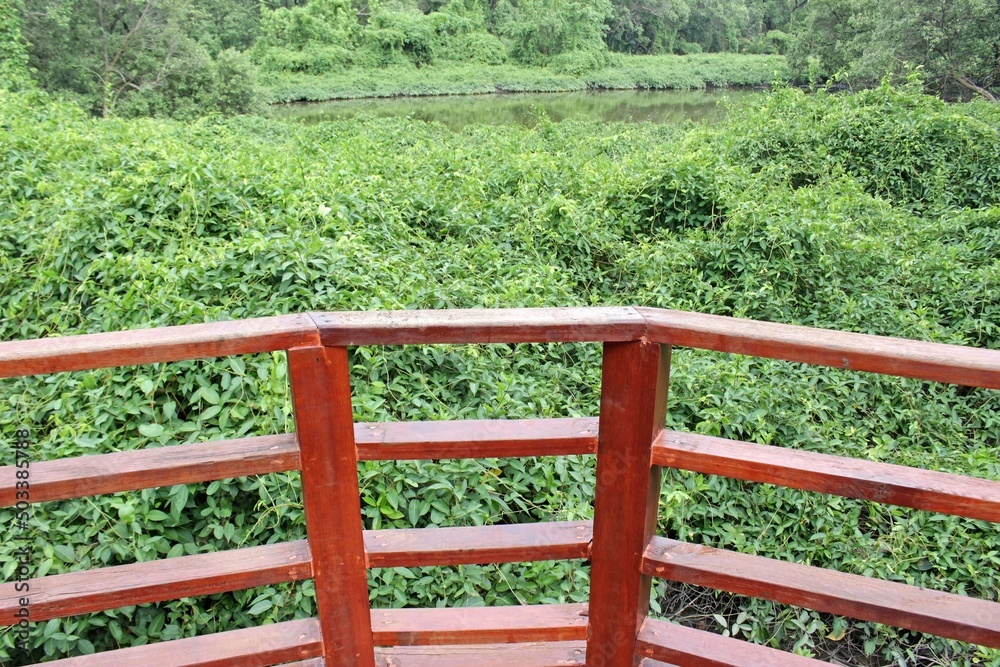 Terrace wooden railings with a view looking out over wild green uncultivated field to a river Terrace wooden railings with a view looking out over wild green uncultivated field to a river