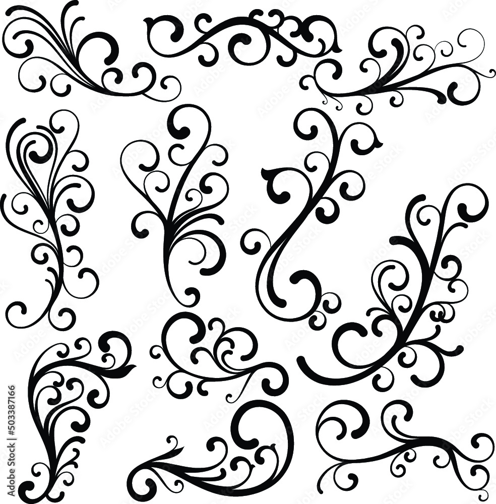 Beautiful abstract curls collection. Elegant floral vector concept. Beautiful abstract curls collection. Elegant floral vector concept.