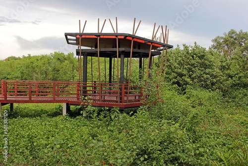 Raised pedestrian walkway leads to a hut or pagoda built for shade and as a resting place to look at birds or the nature in a tropical mangrove forest in southeast Asia.