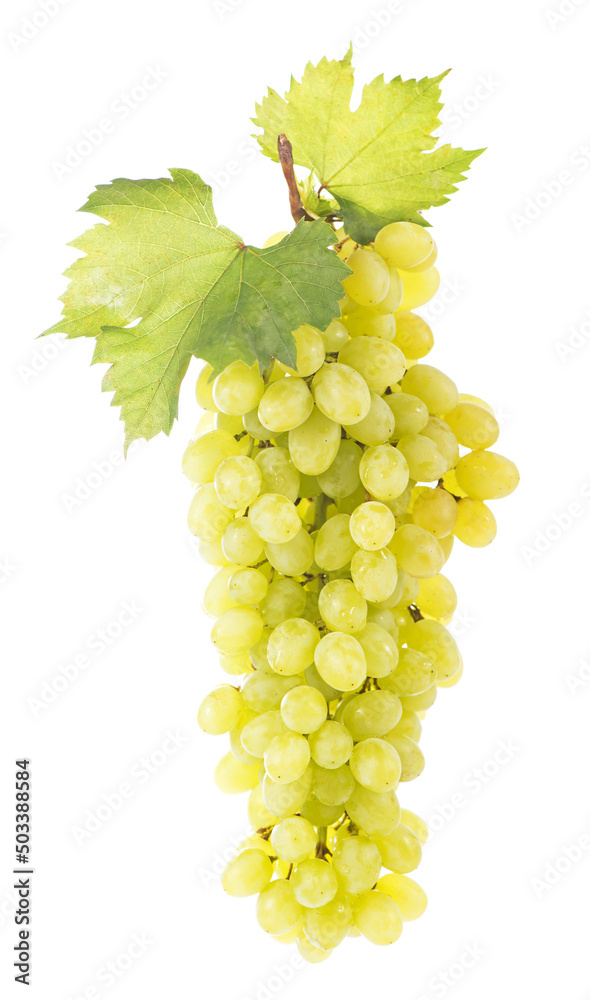 Obraz premium Grape cluster with leaves isolated on the white background