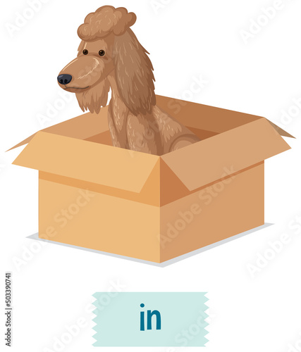 Preposition wordcard with dog in box photo