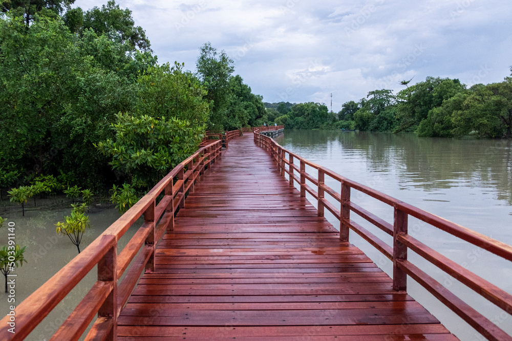 Obraz premium wooden bridge over river