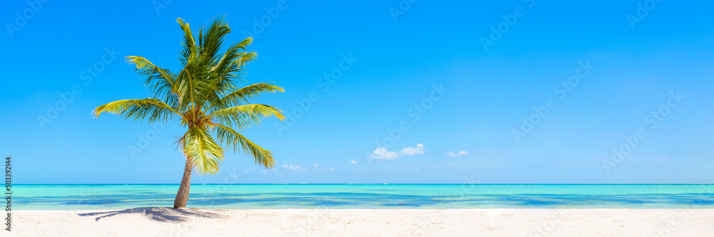 Panorama banner photo of idyllic tropical beach with palm tree - obrazy, fototapety, plakaty 