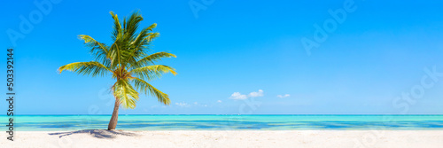Panorama banner photo of idyllic tropical beach with palm tree photo
