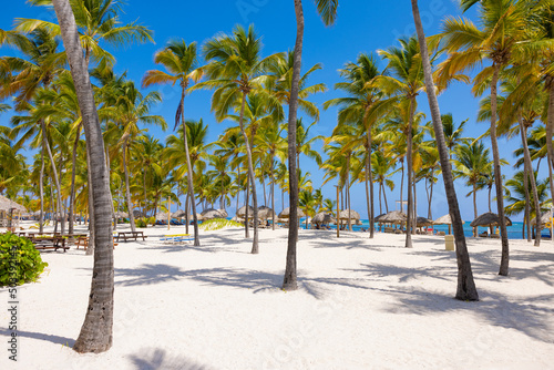 Fototapeta Naklejka Na Ścianę i Meble -  Tropical resort beach with white sand and palm trees
