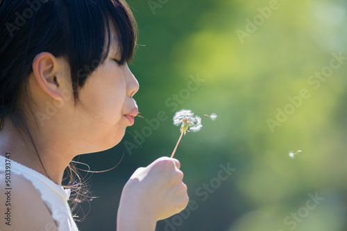 夏の公園でタンポポの花を遊んでいる女の子の姿