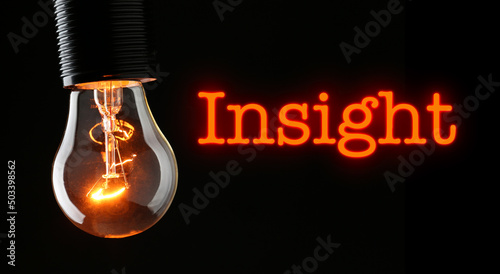 Принти на полотні Light bulb and word INSIGHT on black background