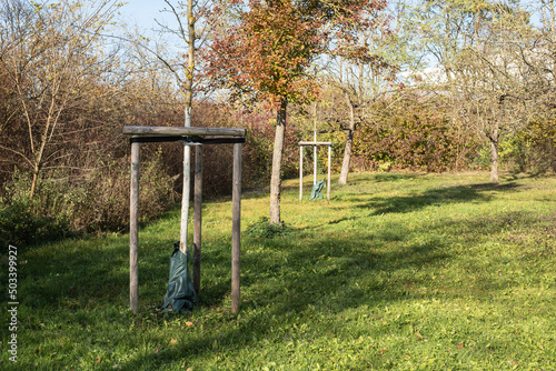 young trees in an urban park supported with wooden planks