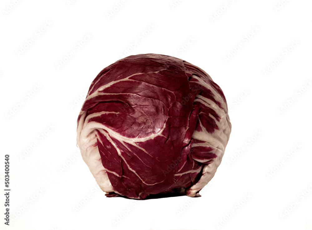 Radicchio Radicchio