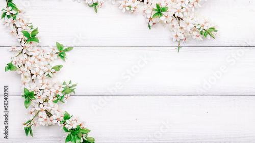 May flowers spring blossom. April floral nature blooming tree on wooden background. Easter Sunny day. Orchard abstract blurred background. Springtime.