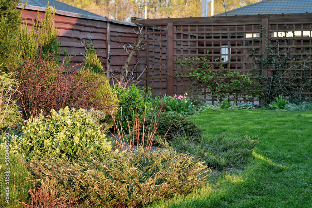 Detail of cozy house garden with flowerbed at sunset. Gardening concept. Selective focus. Detail of cozy house garden with flowerbed at sunset. Gardening concept. Selective focus.
