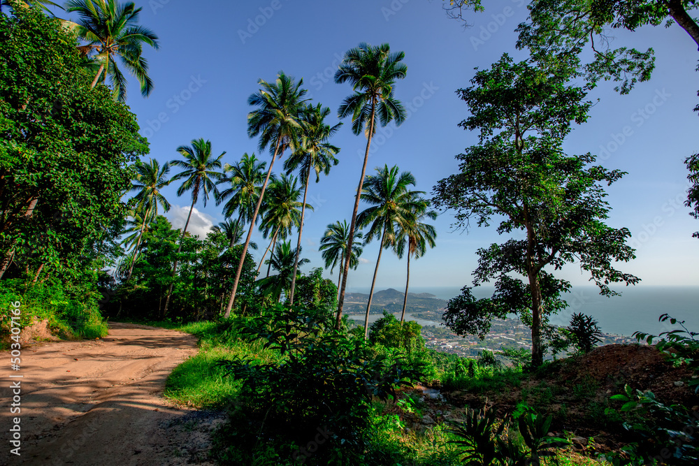 panoramic background of high mountain scenery, overlooking the atmosphere of the sea, trees and wind blowing in a cool blur, spontaneous beauty