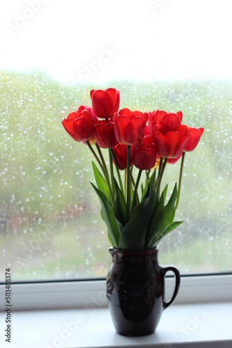 red tulips in a vase