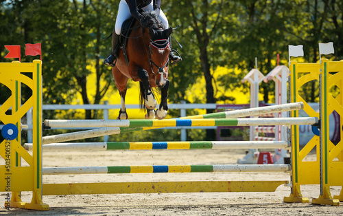 Jumping horse jumping over an obstacle dropping a pole..