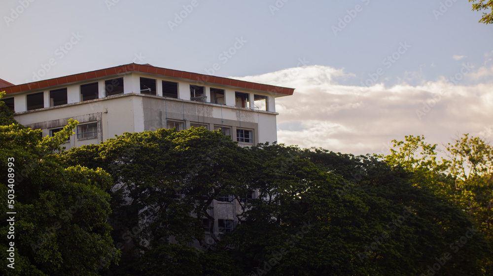 University of the Philippines Campus building with trees as foreground
