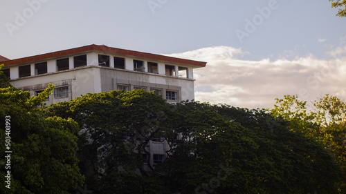 University of the Philippines Campus building with trees as foreground