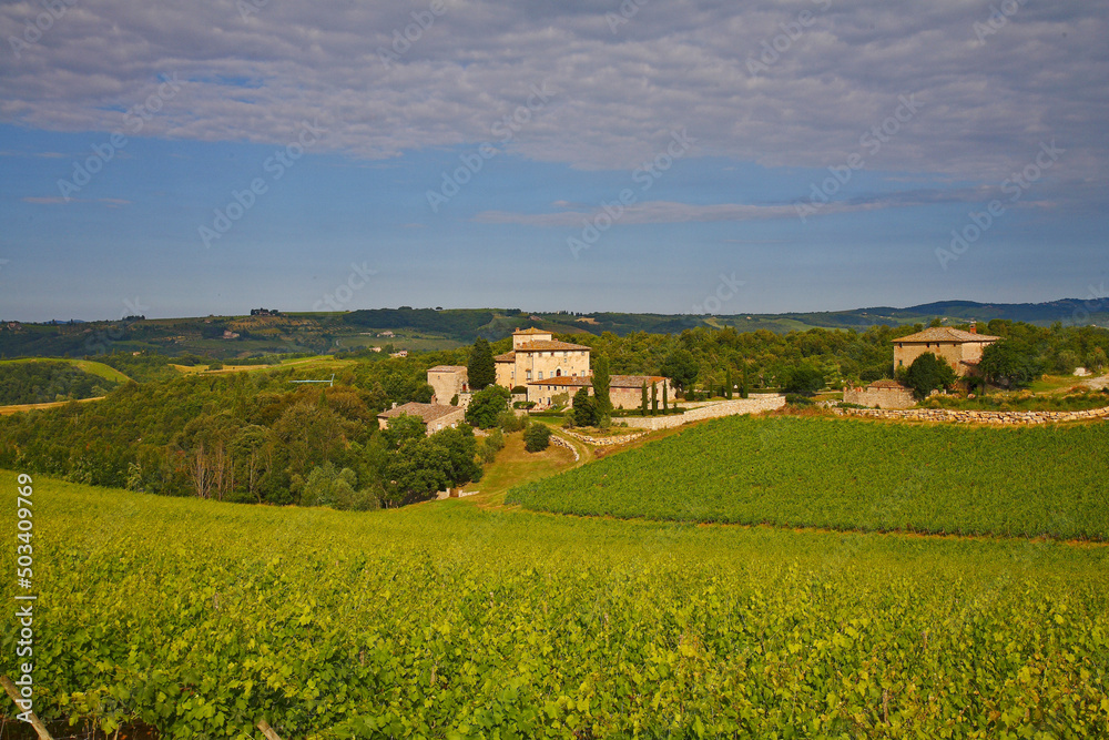 Chianti, panorami di colline coltivate a vigneto