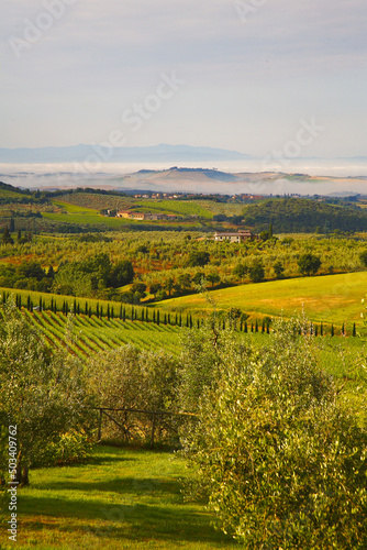 Fototapeta Naklejka Na Ścianę i Meble -  Chianti, panorami di colline coltivate a vigneto