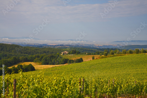 Chianti  tipico panorama collinare