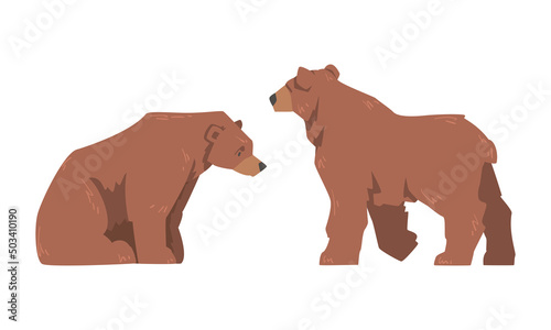 Brown Bear as Large Wild Terrestrial Carnivore Mammal with Thick Fur Sitting and Standing Vector Set © topvectors