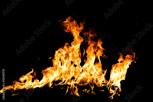 Flame fires. Burn lights on a black background. Fire flames on black background. Abstract fire flame background. © Volodymyr