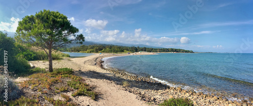 panoramic view ona Corsica  beach  with a pine tree -summer vacation photo