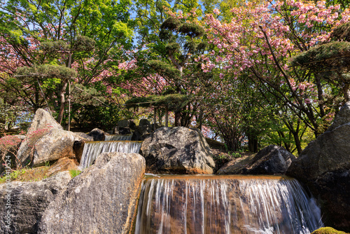 Japanese garden in Hasselt Flemisch region in Belgium photo