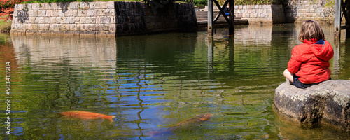 Little girl feeding koi carps in Japanese garden in Hasselt Flemisch region in Belgium