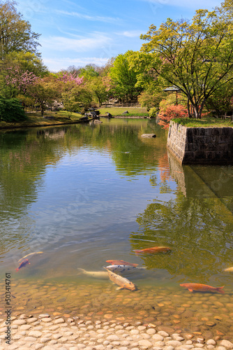 Japanese garden in Hasselt Flemisch region in Belgium photo