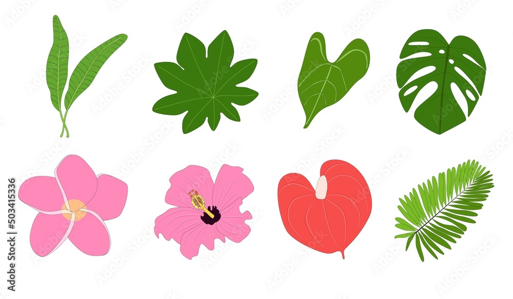Naklejka premium Tropical flowers and leaves set