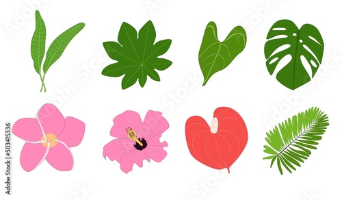 Tropical flowers and leaves set