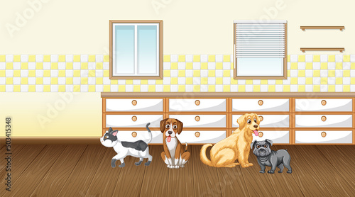 Set of different domestic animals in kitchen