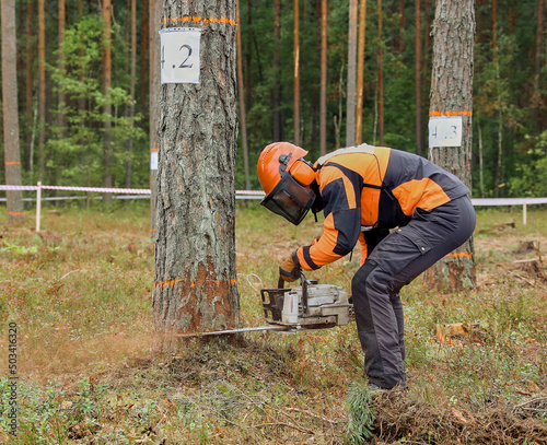 Lumberjack in protective gear chopping wood in the forest with a chainsaw.