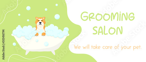 Grooming salon. Banner for grooming salon. Vector illustration in cartoon style. Cute akita in a bubble bath. Pet care.