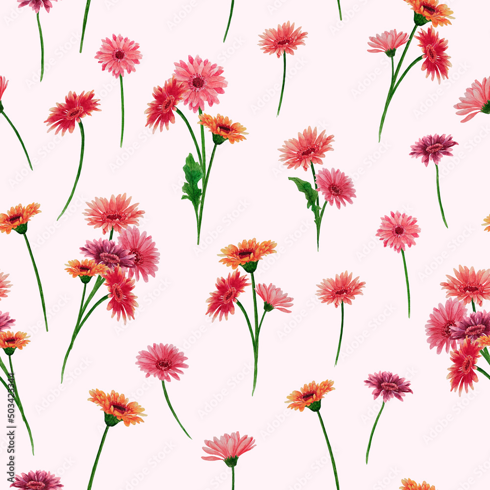Seamless pattern with different gerberas and bouquets of camomile isolated on a soft pink background. Watercolor illustration perfect for wallpaper, textile, wrapping paper, postcards. Seamless pattern with different gerberas and bouquets of camomile isolated on a soft pink background. Watercolor illustration perfect for wallpaper, textile, wrapping paper, postcards.
