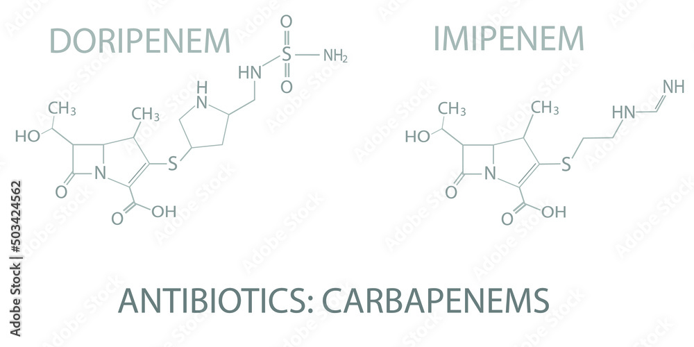 Obraz premium Antibiotics (carbapenems) molecular skeletal chemical formula.