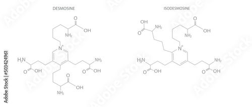 Amino acids molecular skeletal chemical formula.