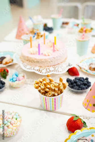 Cake, Candy, Marshmallows, Fruits and Berries, Chocolates, Waffles and other Sweets on Dessert Table at Kids Birthday Party