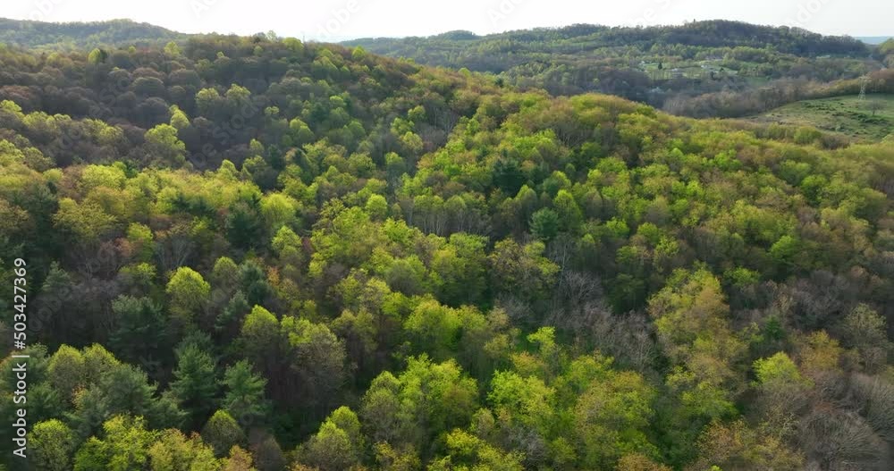 Green rolling hills and mountains of Appalachia. Green trees and new growth in spring season. Golden hour light. Green rolling hills and mountains of Appalachia. Green trees and new growth in spring season. Golden hour light.