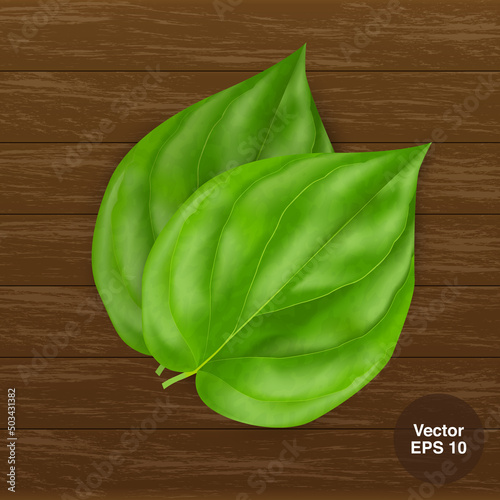 Betel leaves used for Pan also called as pan leafs on wooden background