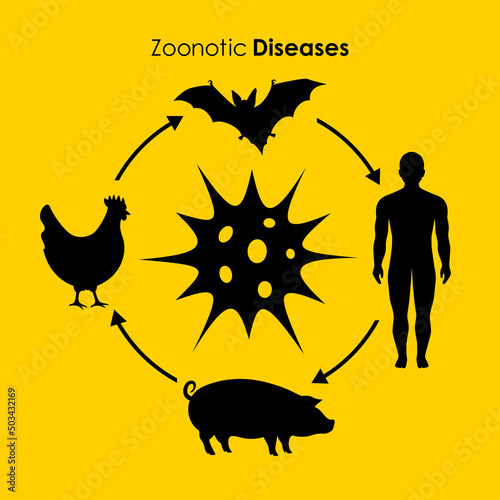 Zoonotic diseases vector poster